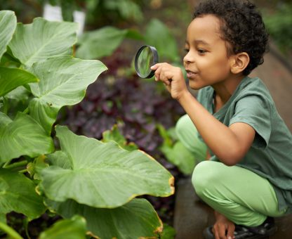 Little,African,American,Kid,Boy,Look,At,Plant,Using,Magnifier,